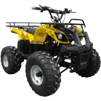 Электроквадроцикл GreenCamel Атакама T220 (48V 1000W R8 Дифференциал) Золотая осень