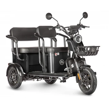 Электротрицикл Wanshida UM+ 60V 1000Вт Черный 